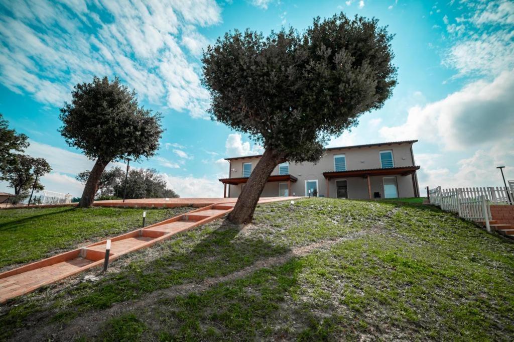 Agriturismo Il Colle Dei Lecci Ancona Luaran gambar